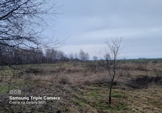 Земельна ділянка площею 2,3446 га, кадастровий номер 3222784400:02:013:0005, за адресою: Київська обл., Макарівський р., с/рада. Людвинівська, РНОНМ 737611832227. Основні засоби в кількості 2 од. Земельна ділянка площею 3,04 га, кадастровий номер 3222784400:02:010:0008, за адресою: Київська обл., Макарівський р., с/рада. Людвинівська, РНОНМ 739717832227. Основні засоби в кількості 2 од.