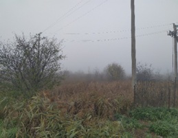 Земельна ділянка (урочище ``Ростиса``) площею 1,6993 га, кадастровий номер 2124886200:11:018:0015, цільове призначення для будівництва та обслуговування будівель торгівлі, за адресою: Закарпатська обл., Ужгородський р., с. Соломоново, РНОНМ 786301421248, Основні засоби в кількості 130 одиниць