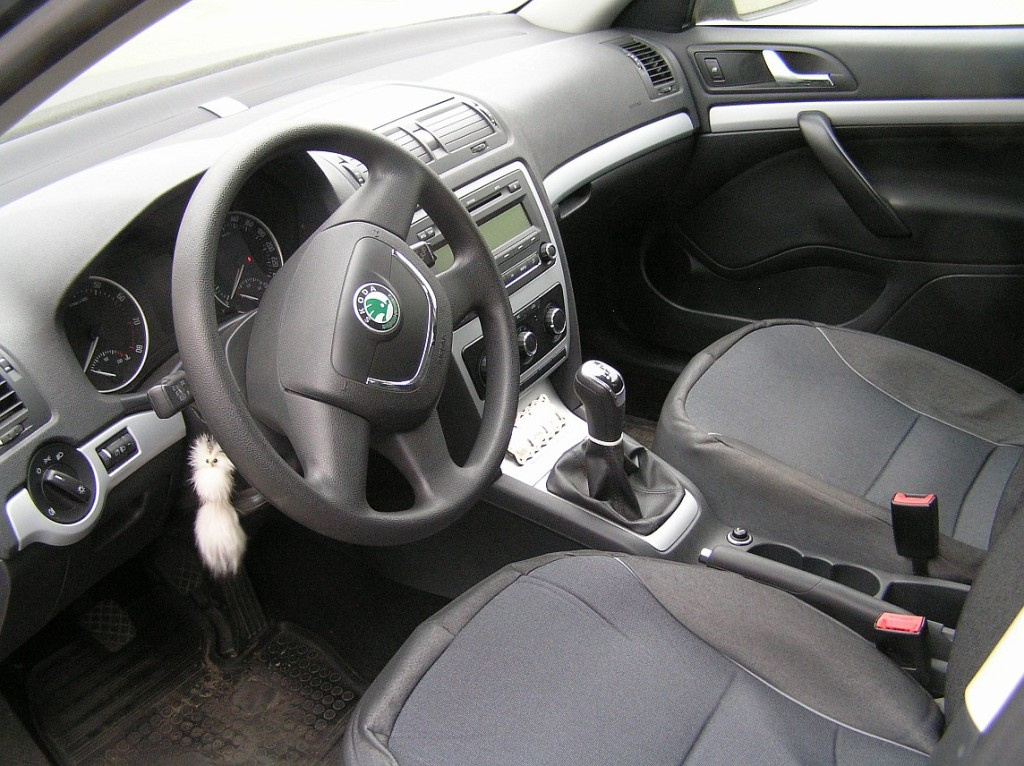 Skoda Octavia A5 Ambiente