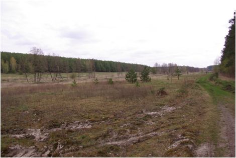 Земельна ділянка для будівництва та обслуговування житлового будинку площею 0,25 га за адресою: Київська обл., Макарівський р-н., с/р Гавронщицька 3222781800:03:013:0058