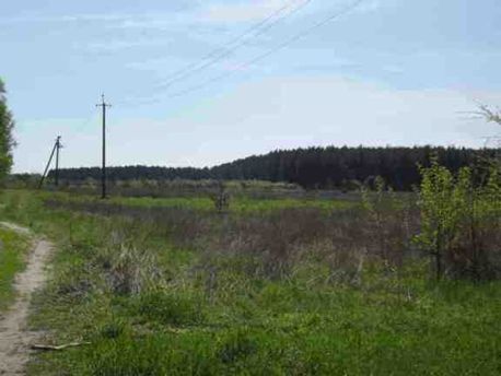 Земельна ділянка* пл. 51,4114 га, кад.н. 3221487001:06:005:0004, цільове призн.-для буд. та обсл. ж/б Київська область, Васильківський район, Путрівська с/р., с.Путрівка.