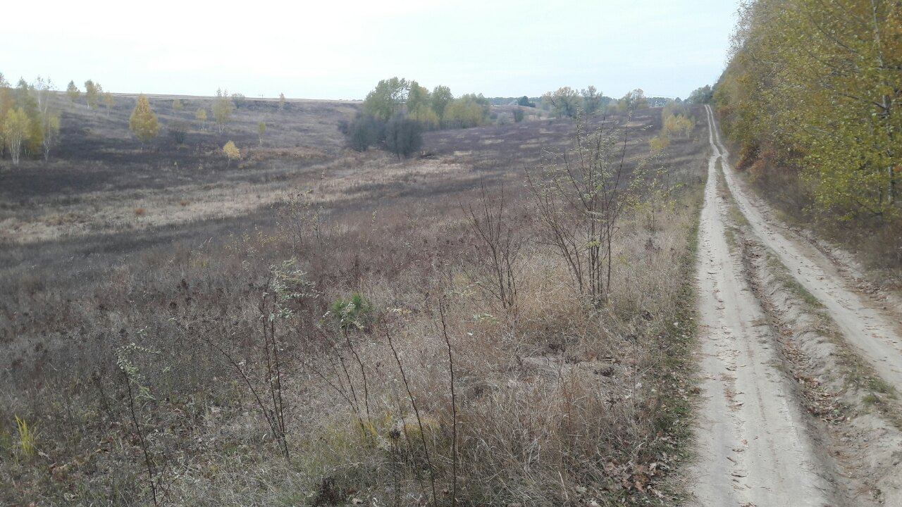 Земельна ділянка 3221482801:01:011:0010 для будівництва і обслуговування житлового будинку, господарських будівель і споруд (присадибна ділянка) площею 0,2196 за адресою: Київська обл., Васильківський р., с.Застугна, вул.Лесі Українки ,145-А, інв. № 30906