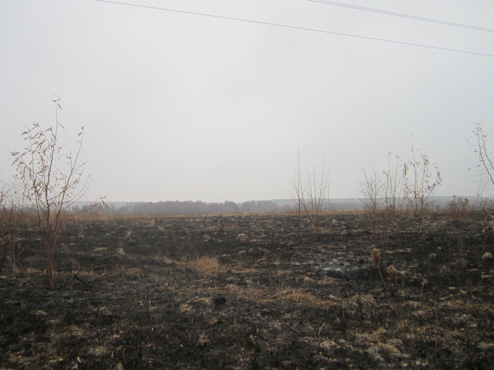Земельна ділянка пл.10,0897 га, кад.№3222755101:01:081:0003, Київська обл., Макарівський р-н, Макарівська с/р. ОЗ у кільк. 18 од. Зем. діл. пл.5,2056га, кад.№3222755100:00:001:0056, Київська обл., Макарівський р-н, Макарівська с/р.  ОЗ у кільк. 3 од.
